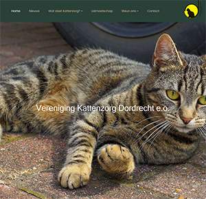 kattenzorg dordrect nieuwe website